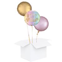 Vorschau: Balllonbox Geburtstag Pastel Vorschau: Balllonbox Geburtstag Pastel