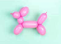 Postkarte Ballonhund Postkarte Ballonhund